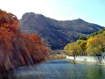 管家婆黑白马报图库，丰田汉兰达论坛